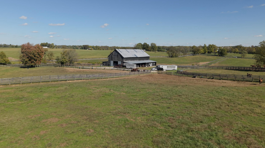 Listing Image 82