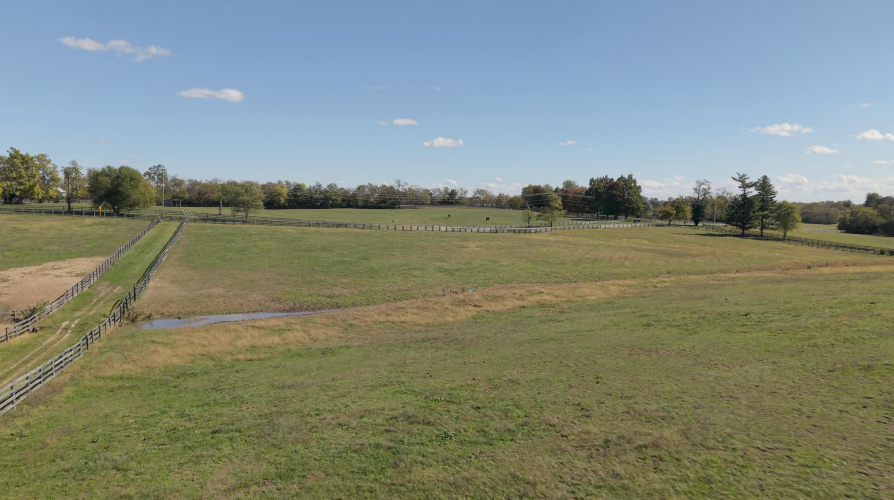 Listing Image 87