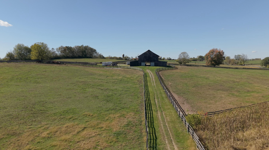 Listing Image 89