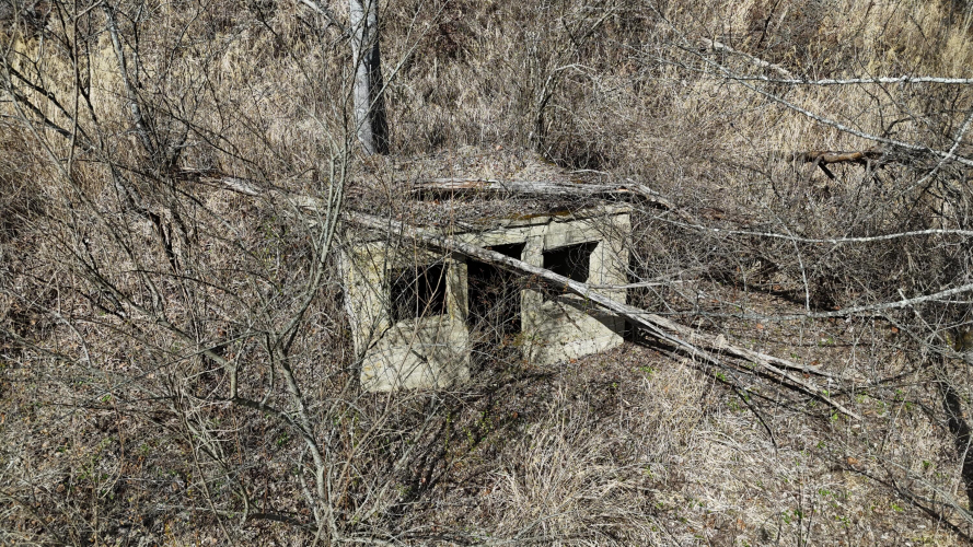 Listing Image 23