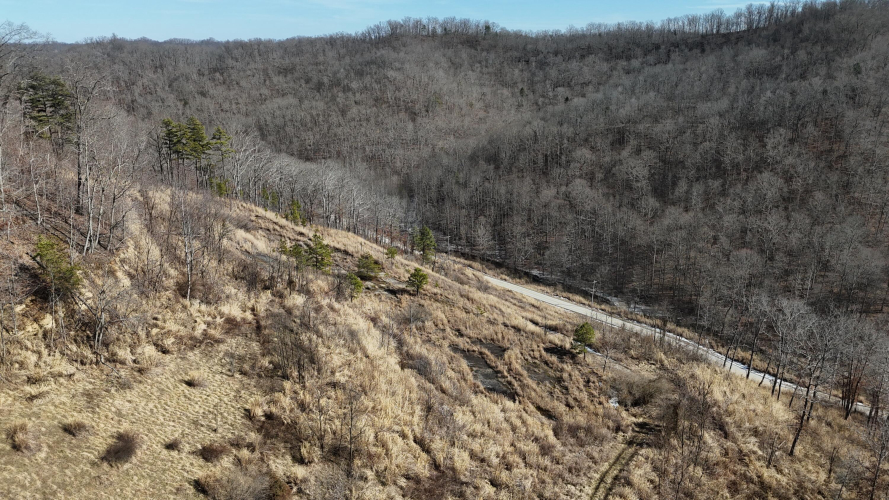 Listing Image 10
