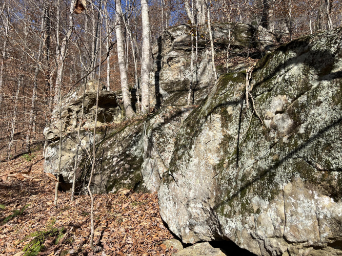 Listing Image 40