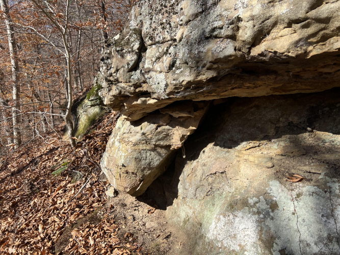 Listing Image 45