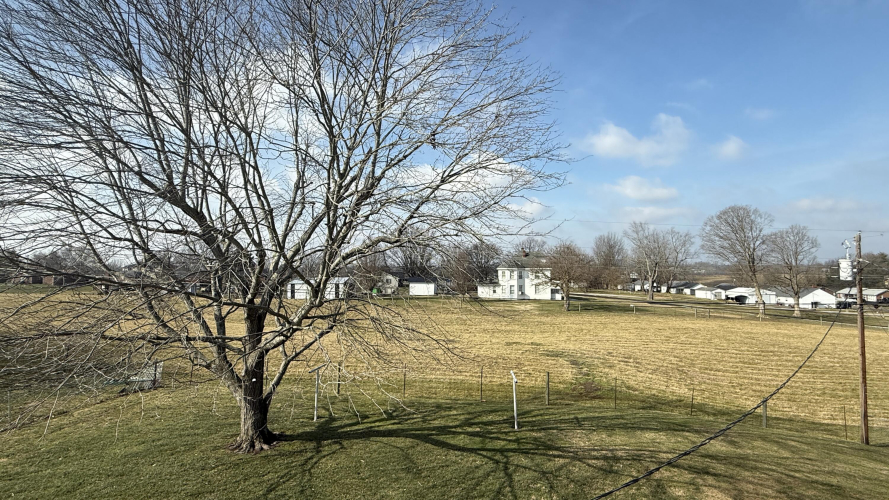 Listing Image 13