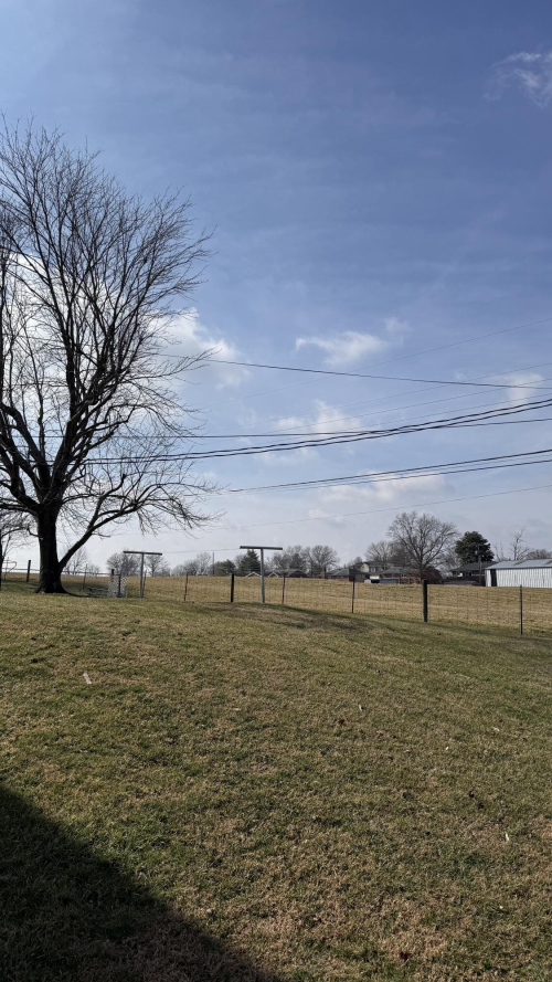 Listing Image 51