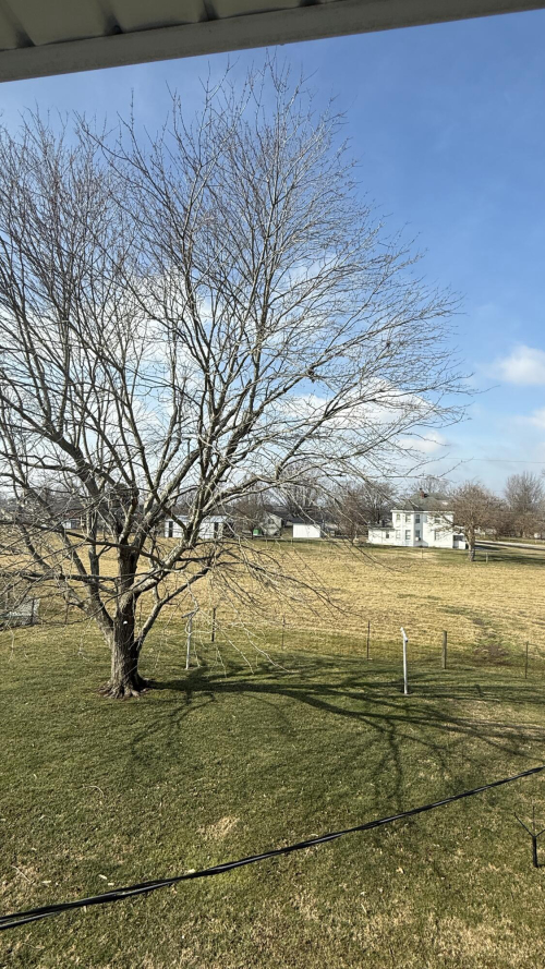 Listing Image 71