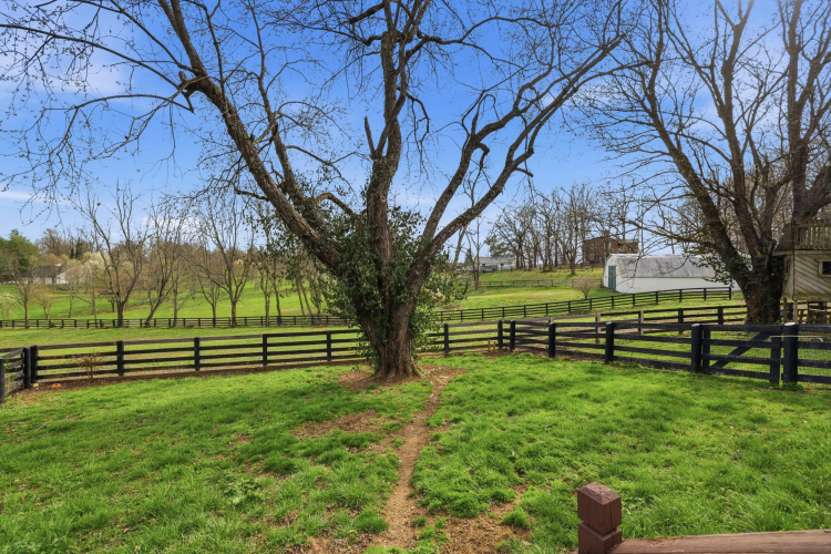 Listing Image 51