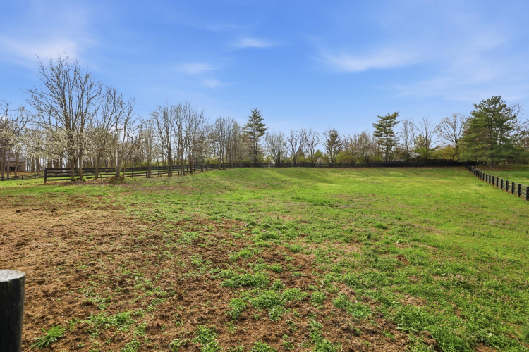 Listing Image 60