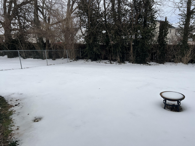 Listing Image 59