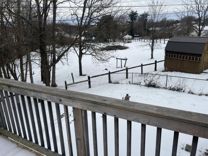 Listing Image 74