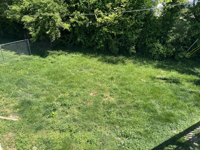 Listing Image 79