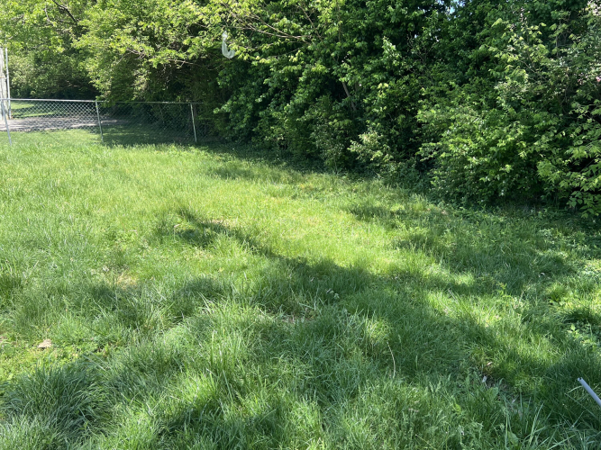 Listing Image 84
