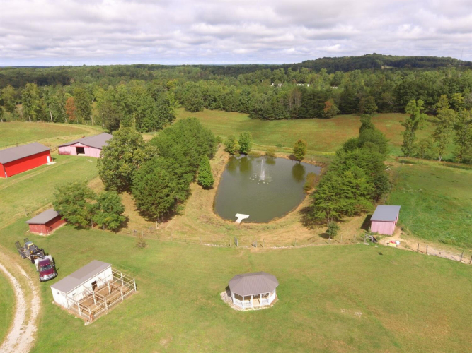 Listing Image 101