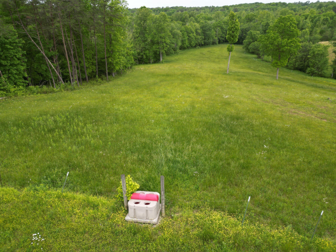 Listing Image 91