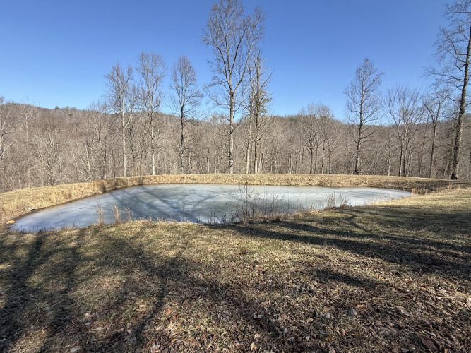 Listing Image 23