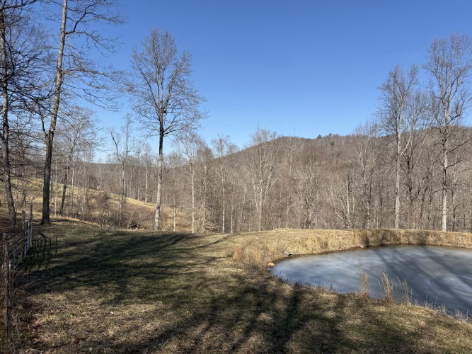 Listing Image 24