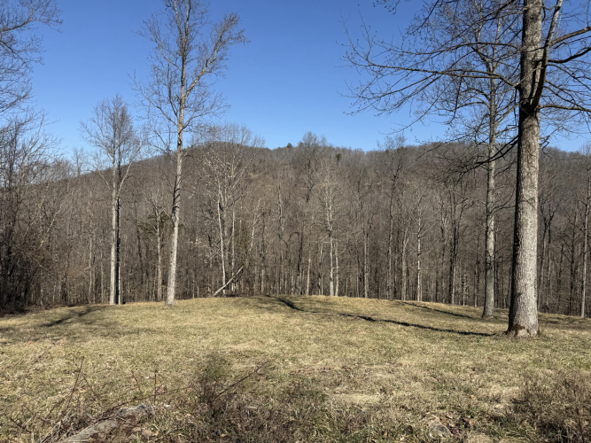 Listing Image 31