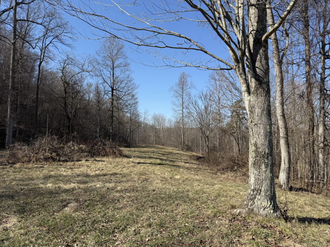 Listing Image 32