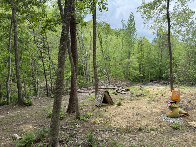 Listing Image 16