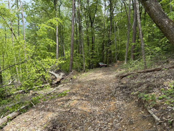 Listing Image 19