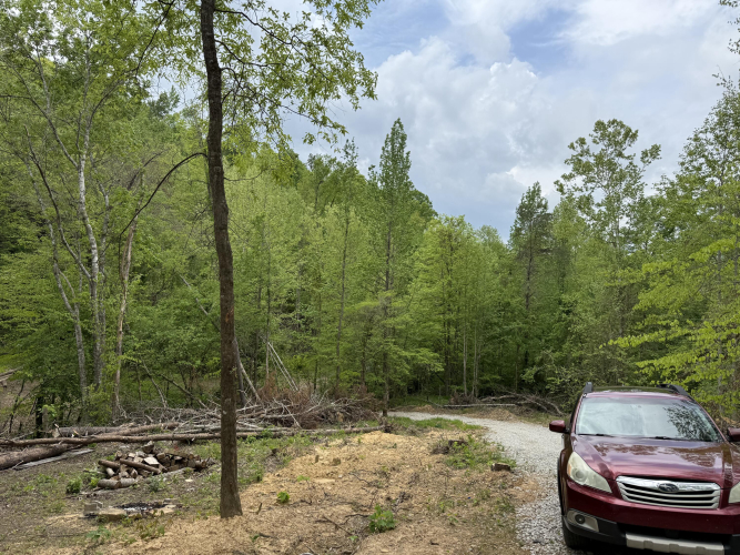 Listing Image 5