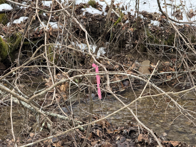 Listing Image 55