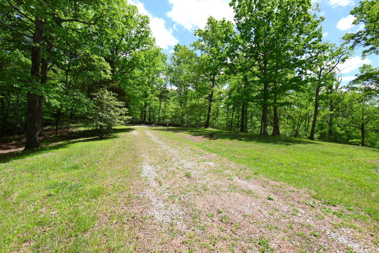 Listing Image 51
