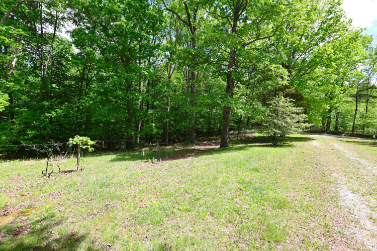 Listing Image 52