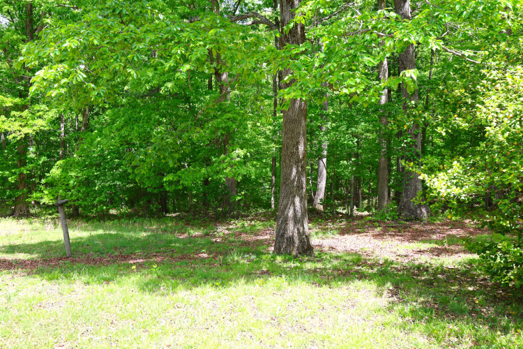 Listing Image 53