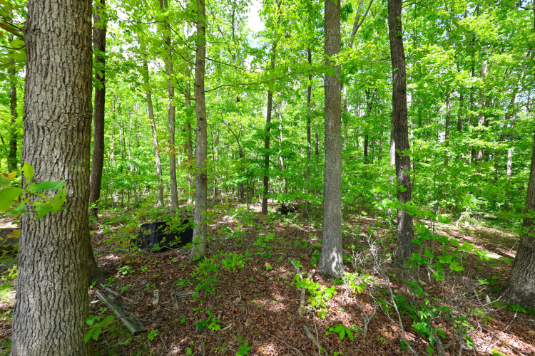 Listing Image 55