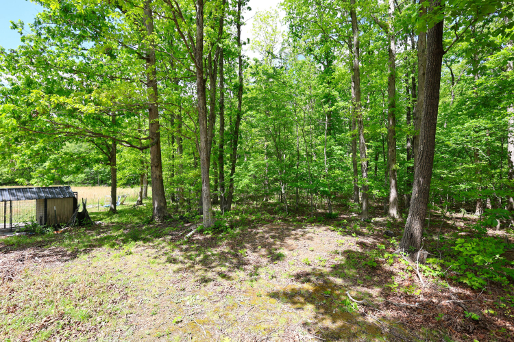 Listing Image 56