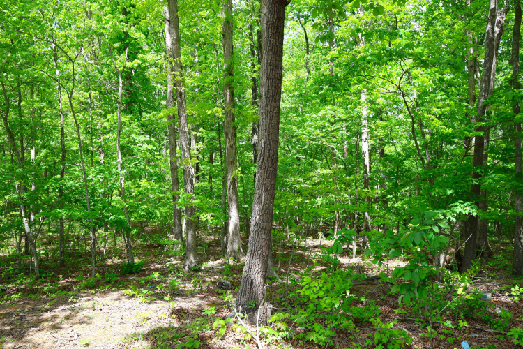 Listing Image 57
