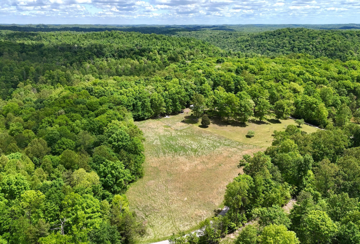 Listing Image 7