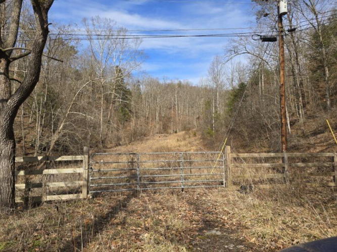 Listing Image 13