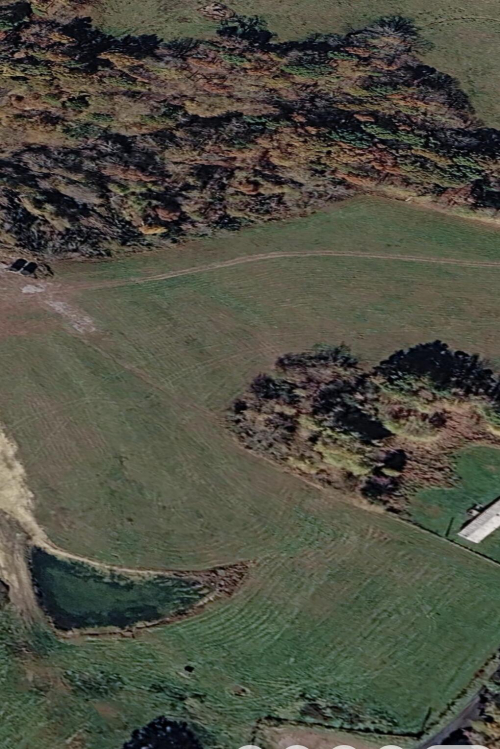 Listing Image 13