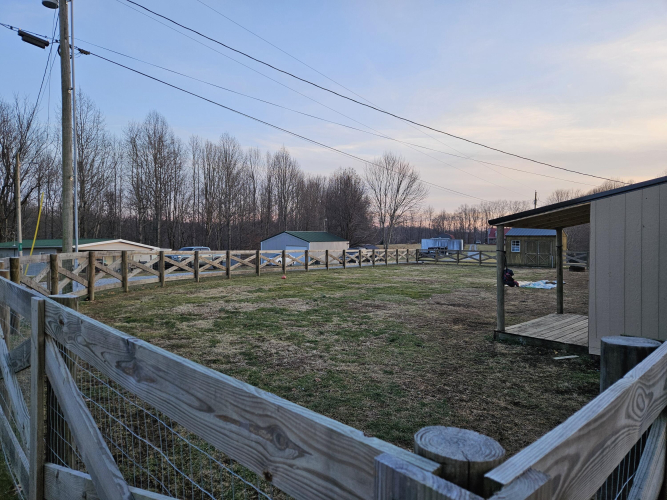 Listing Image 6