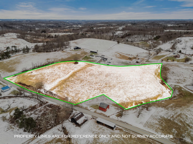 Listing Image 15