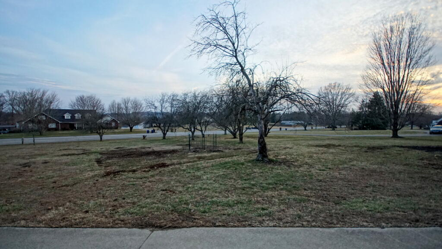 Listing Image 51
