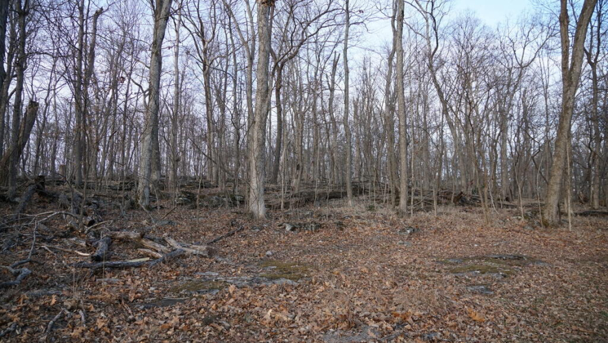 Listing Image 9
