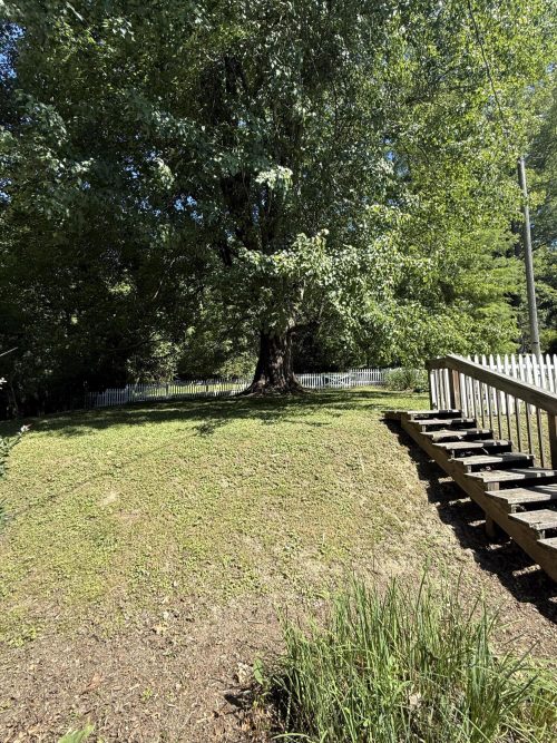 Listing Image 64