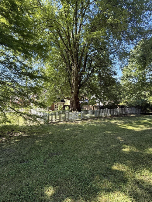 Listing Image 65