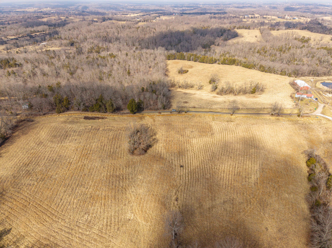 Listing Image 20