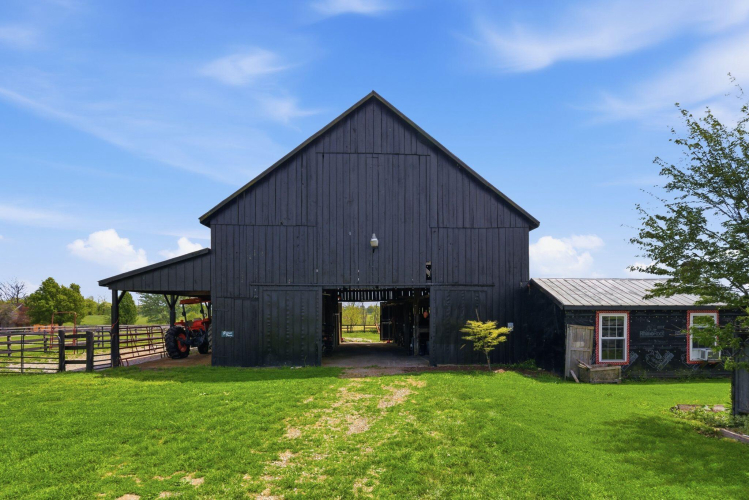 Listing Image 82