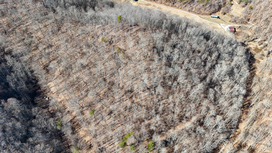 Listing Image 10