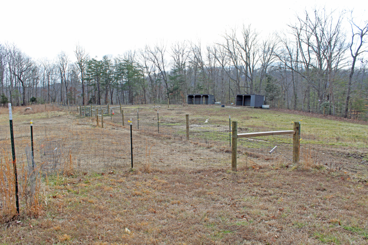 Listing Image 65