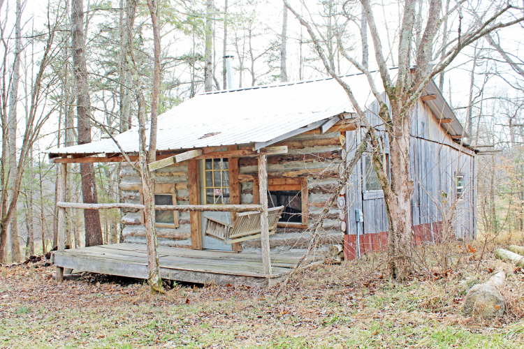 Listing Image 73