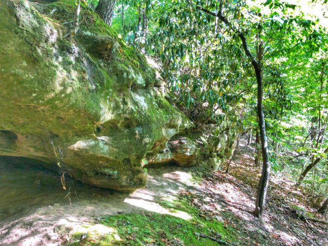 Listing Image 12