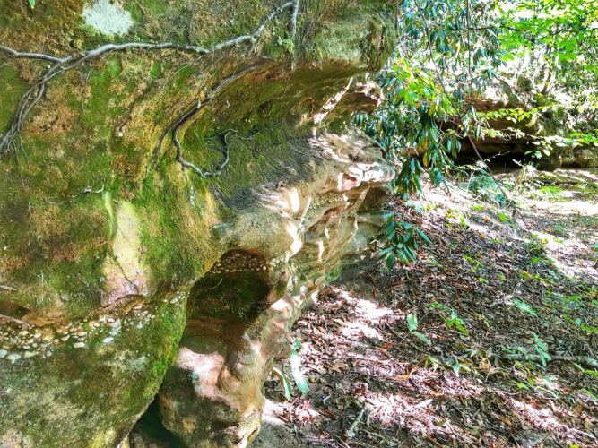 Listing Image 14