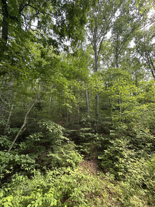 Listing Image 25