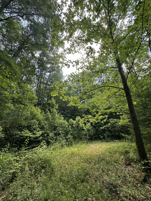 Listing Image 26